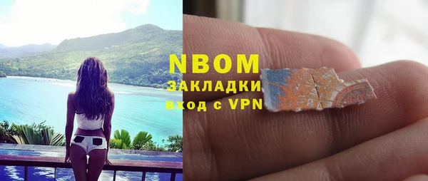 таблы Бородино
