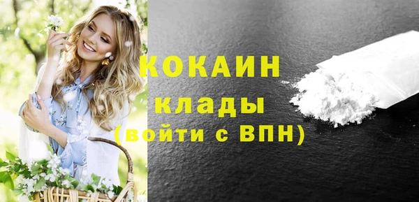 дурь Бронницы