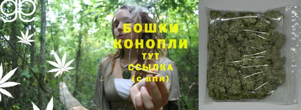 таблы Бородино