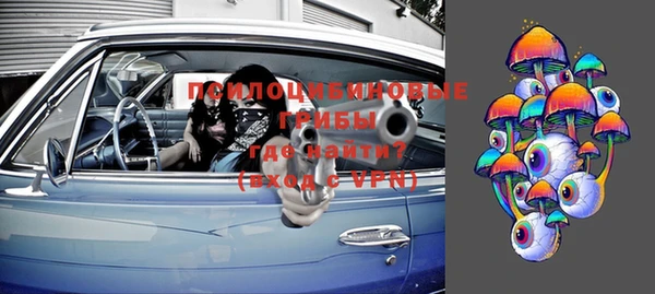таблы Бородино